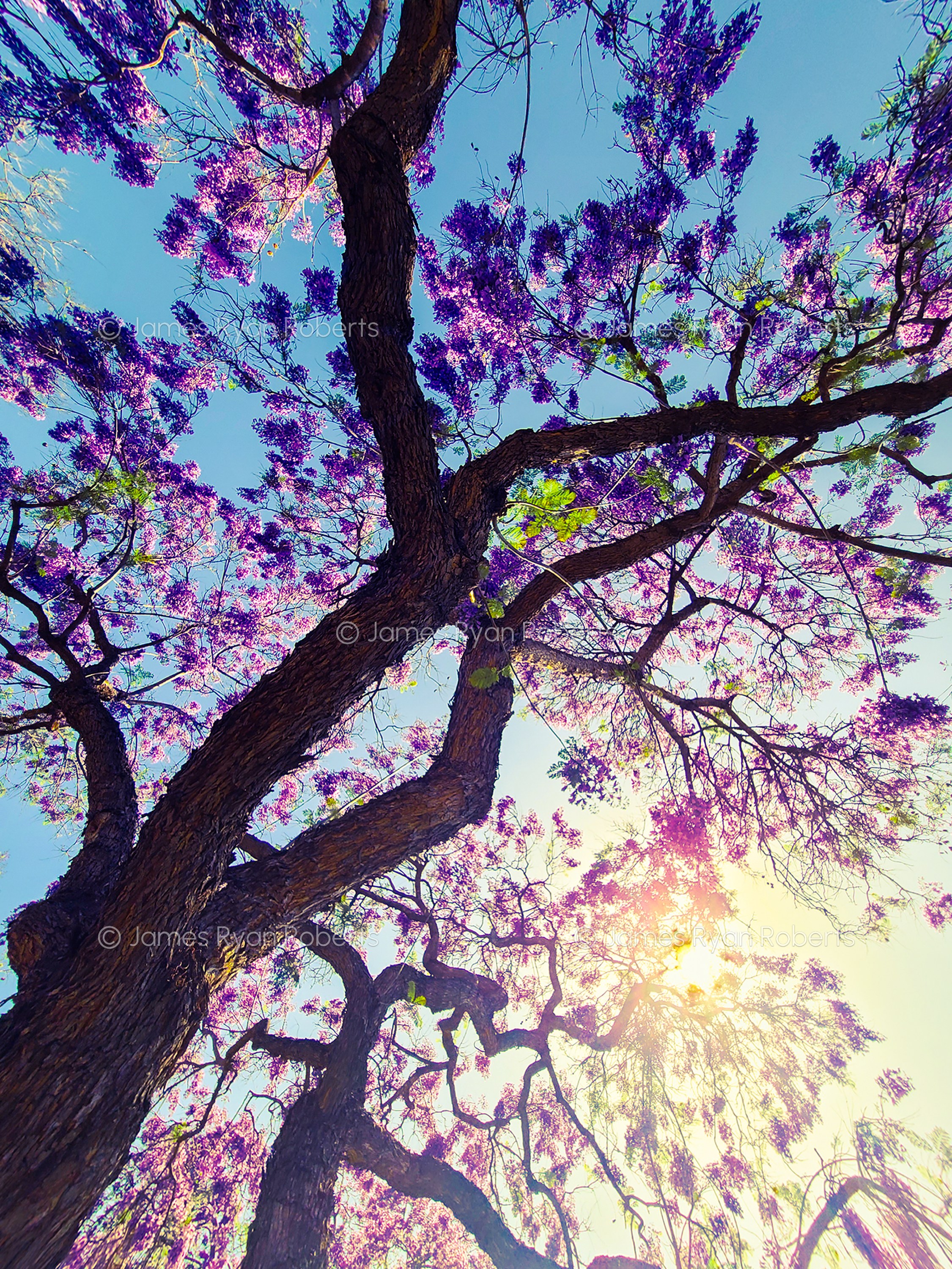 California large-format fine art landscape photograph, No. 17