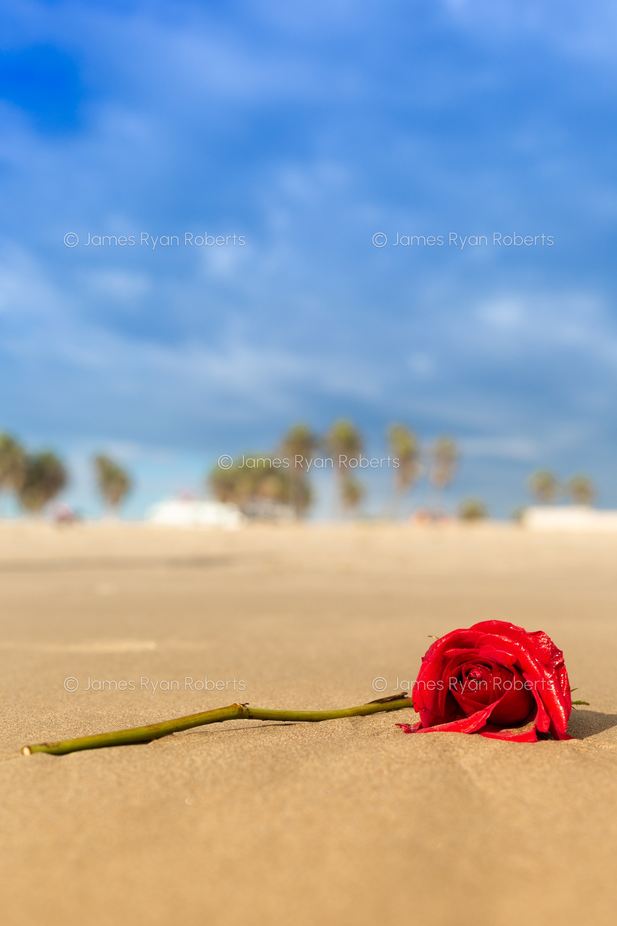 California large-format fine art landscape photograph, No. 25