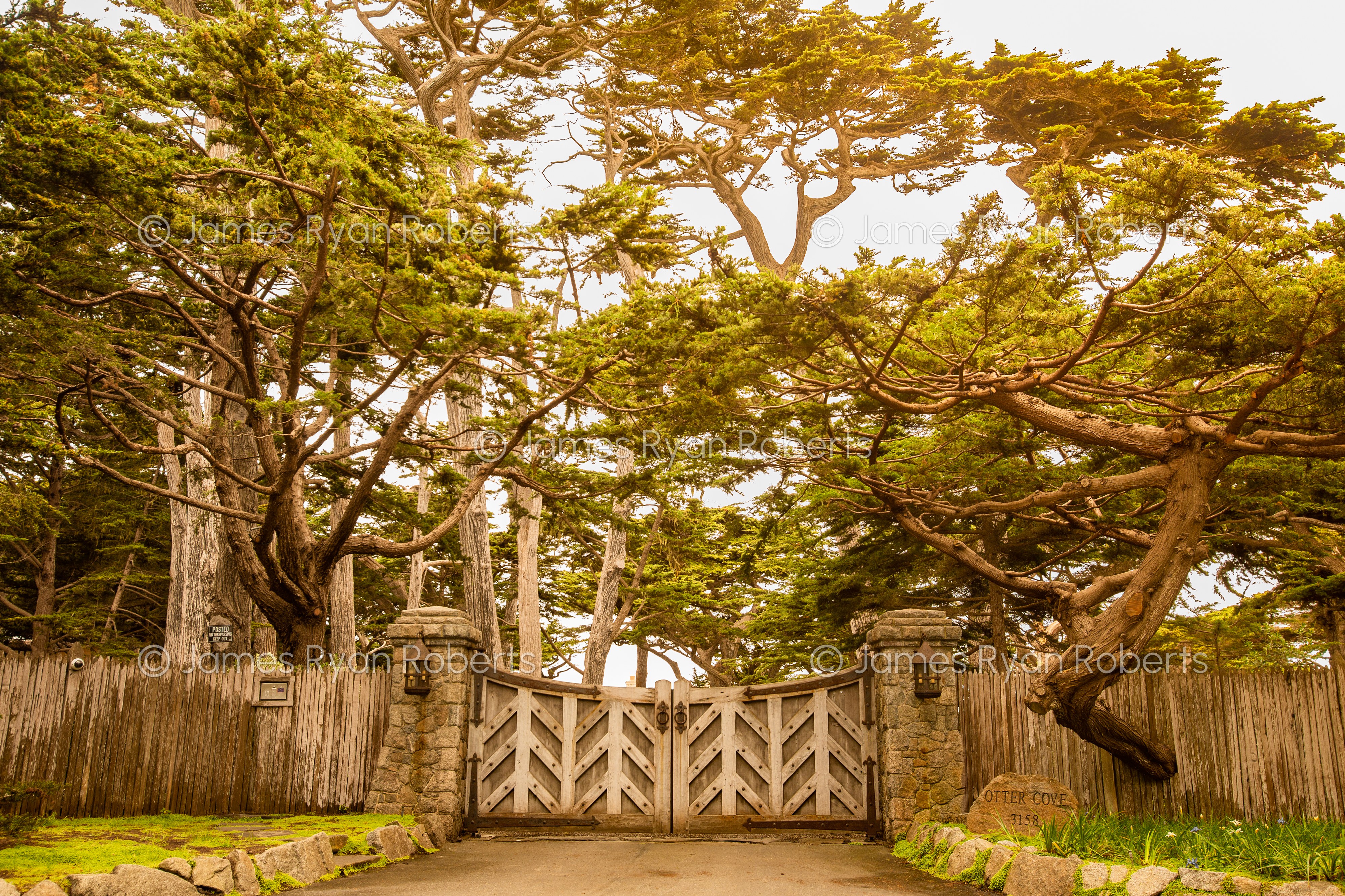 California large-format fine art landscape photograph, No. 35