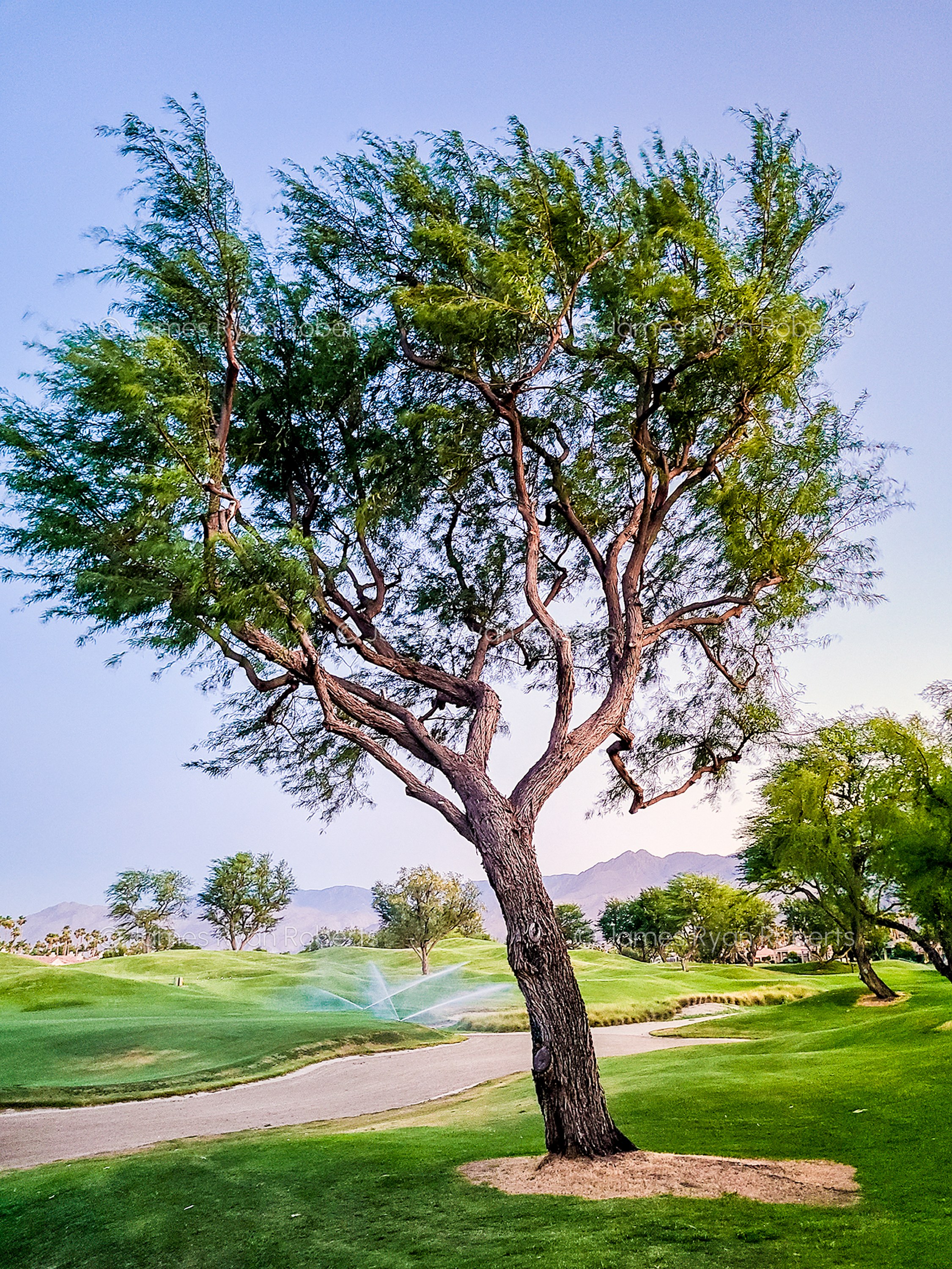 California large-format fine art landscape photograph, No. 37