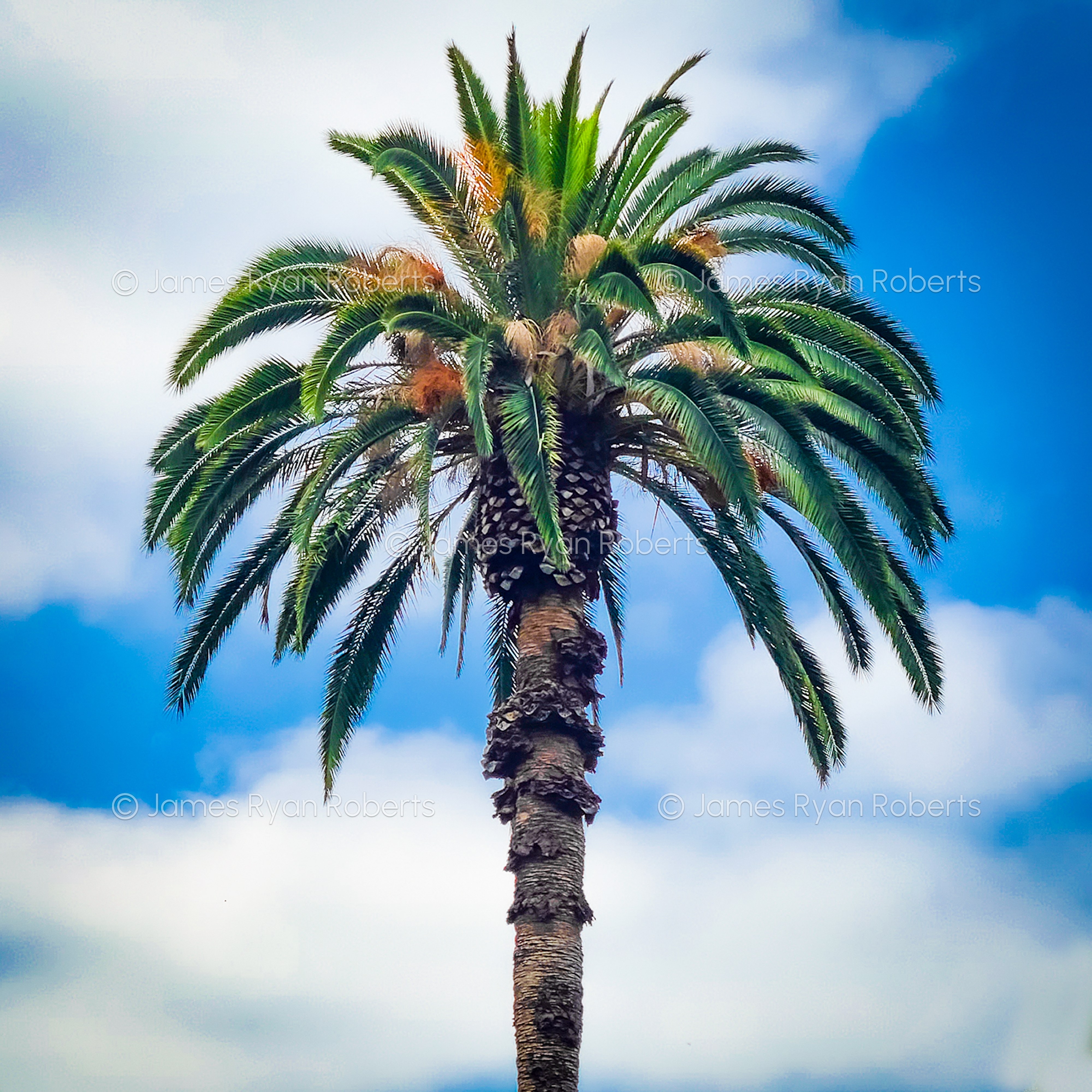 California large-format fine art landscape photograph, No. 64