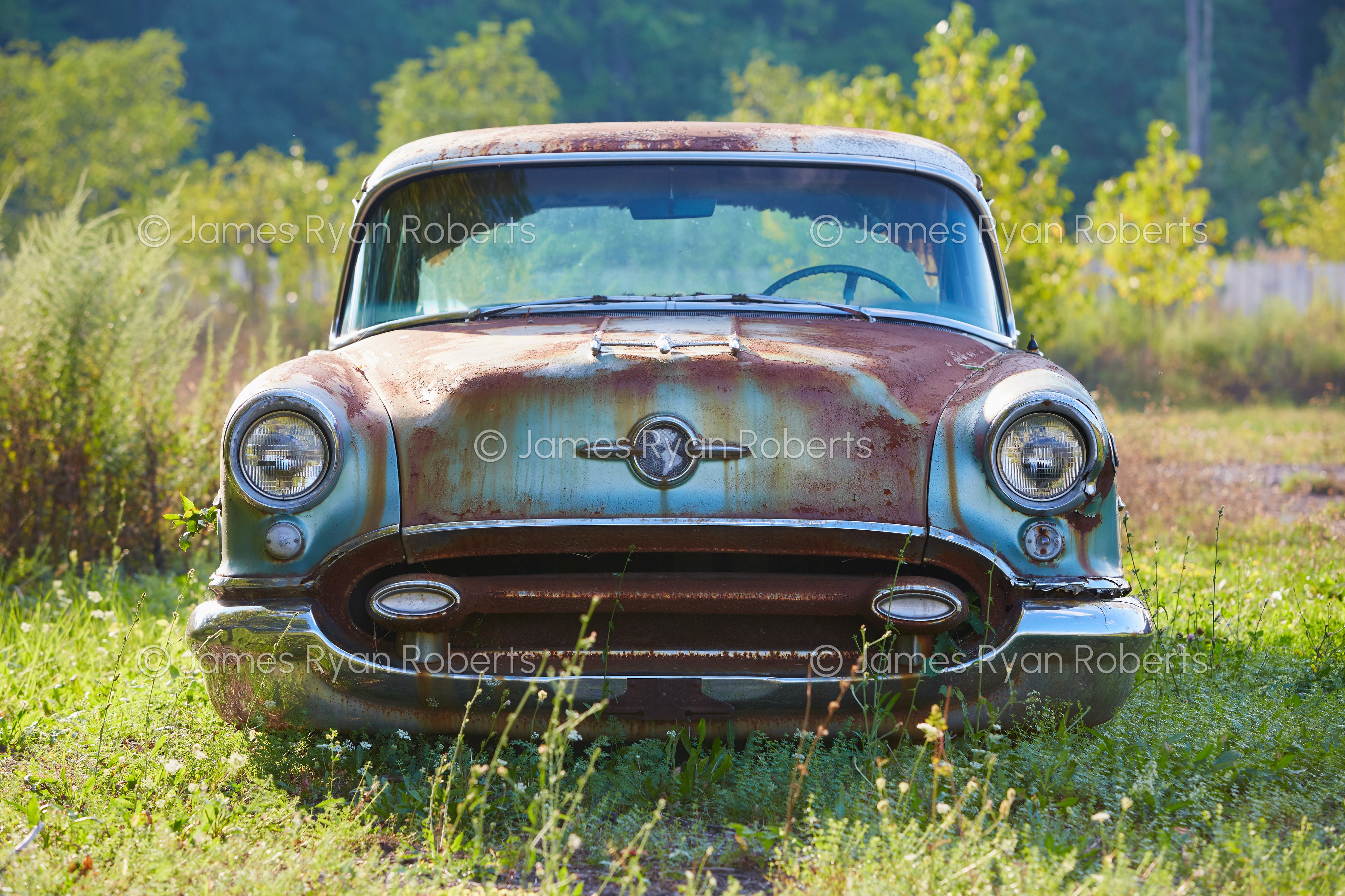 Catskills Oldsmobile Super 88 — Carport large-format fine art print