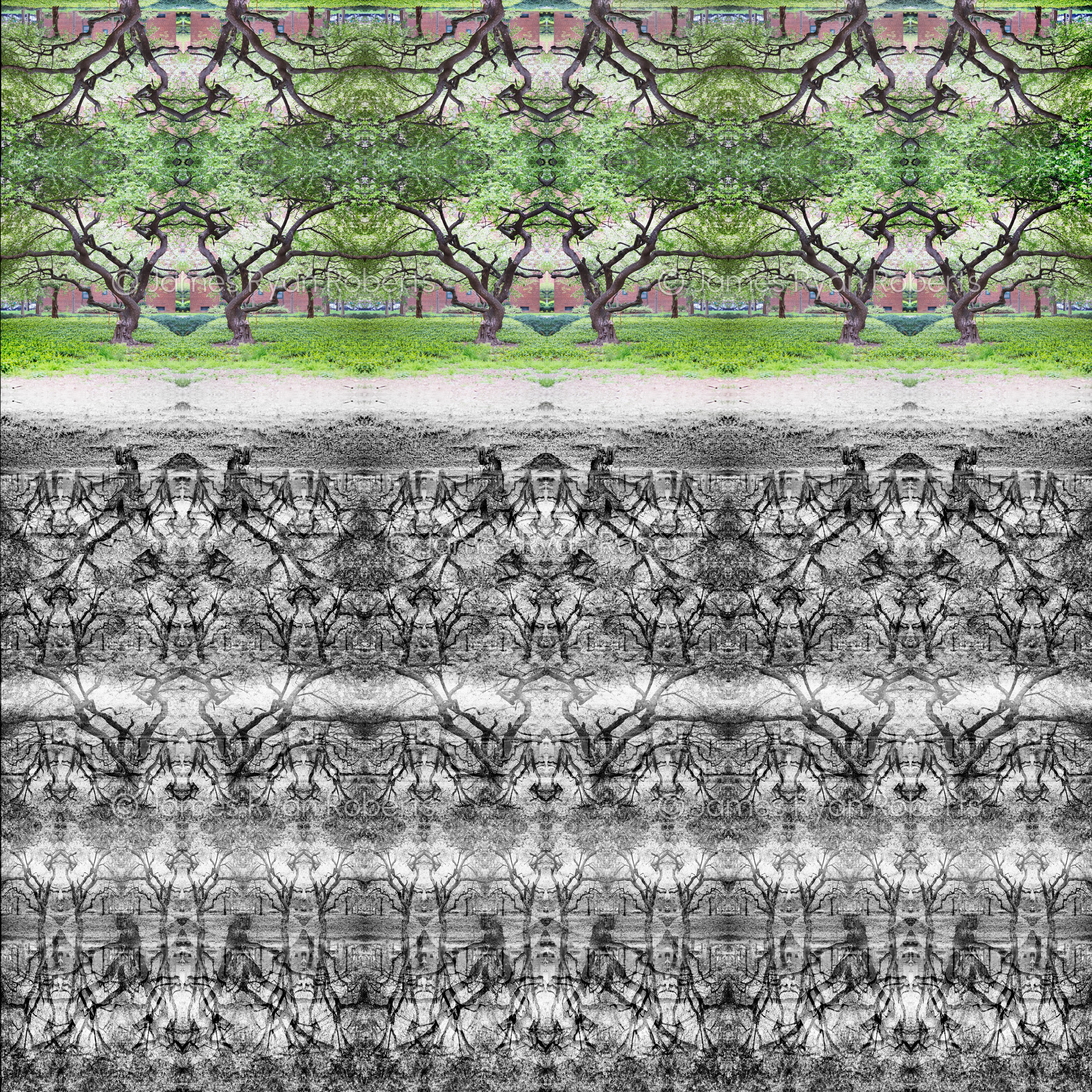 Many Graves Came Before Us — Circular Logic large-format fine art print