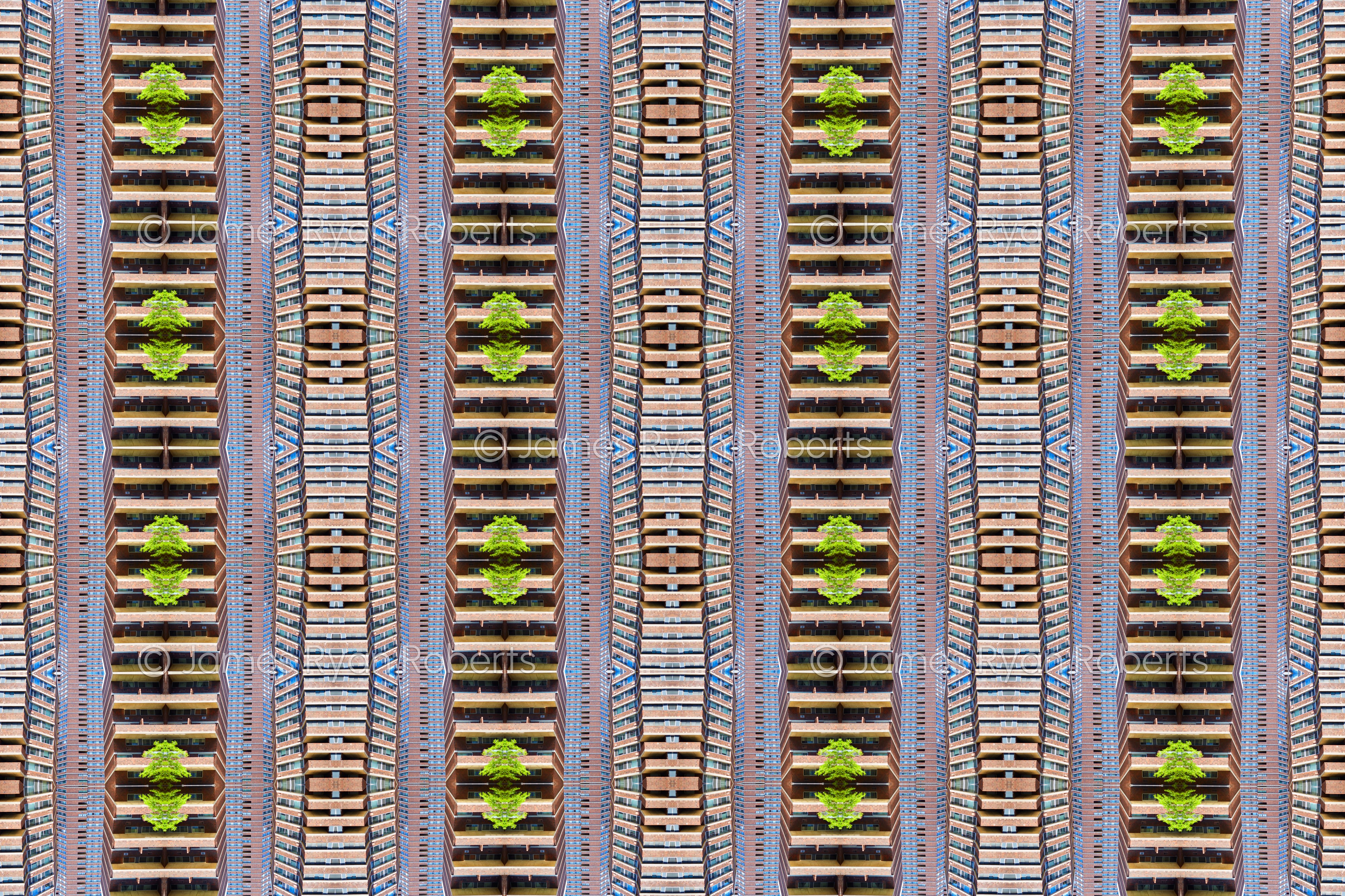 Then sometimes I would look up and just find calm — Circular Logic large-format fine art print