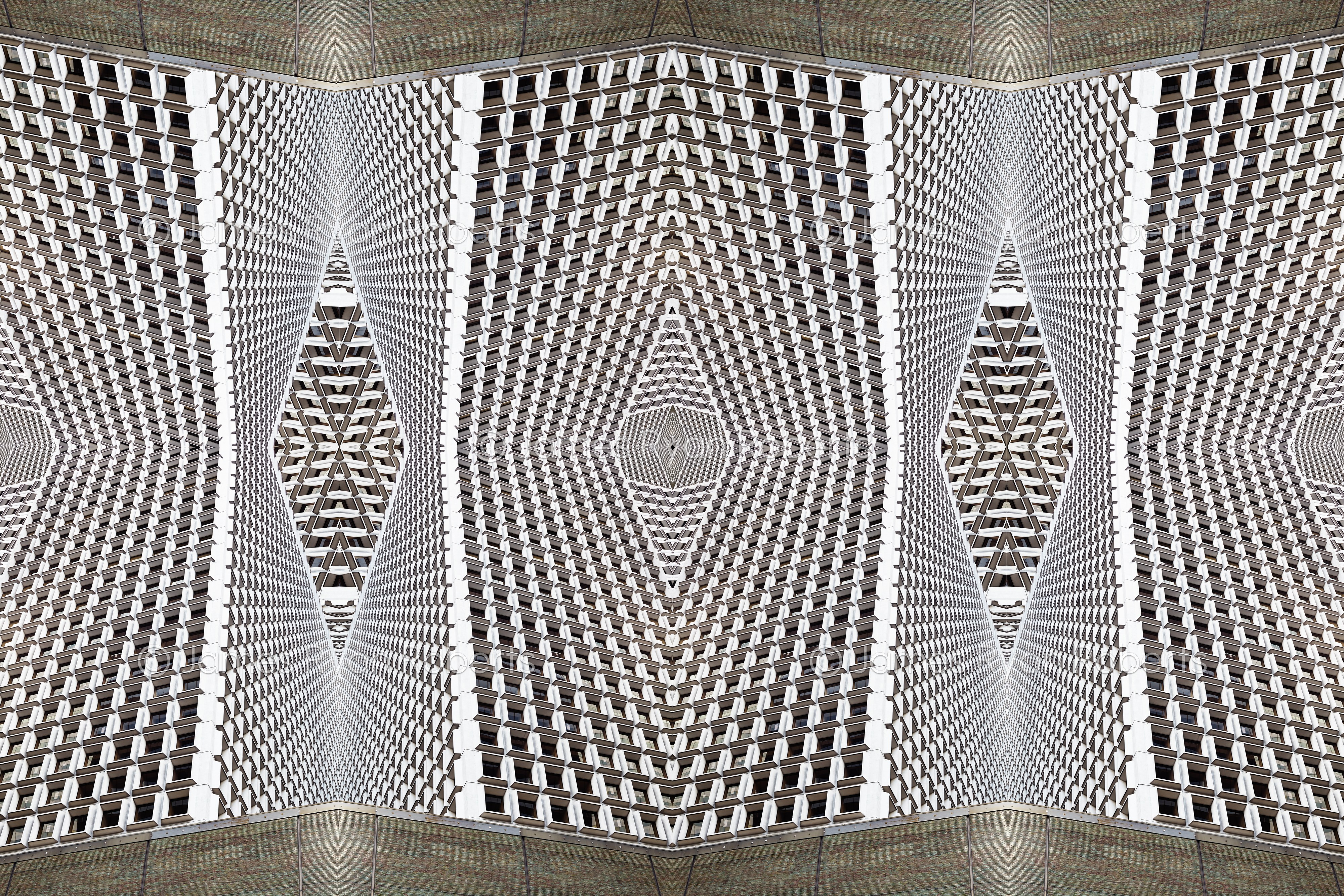 Vertigo From All the Disinformation — Circular Logic large-format fine art print