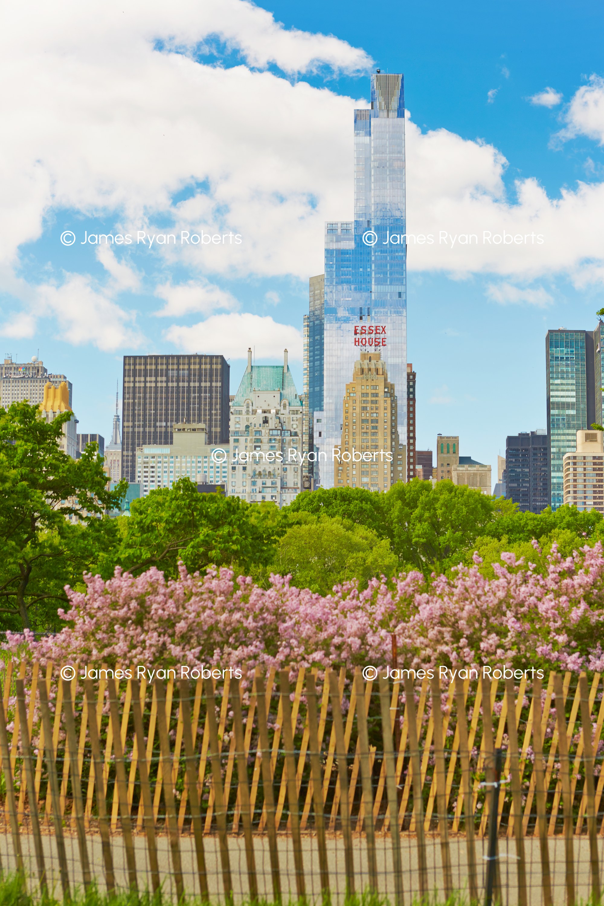 Blossoms & Skyline — New York City large-format fine art print