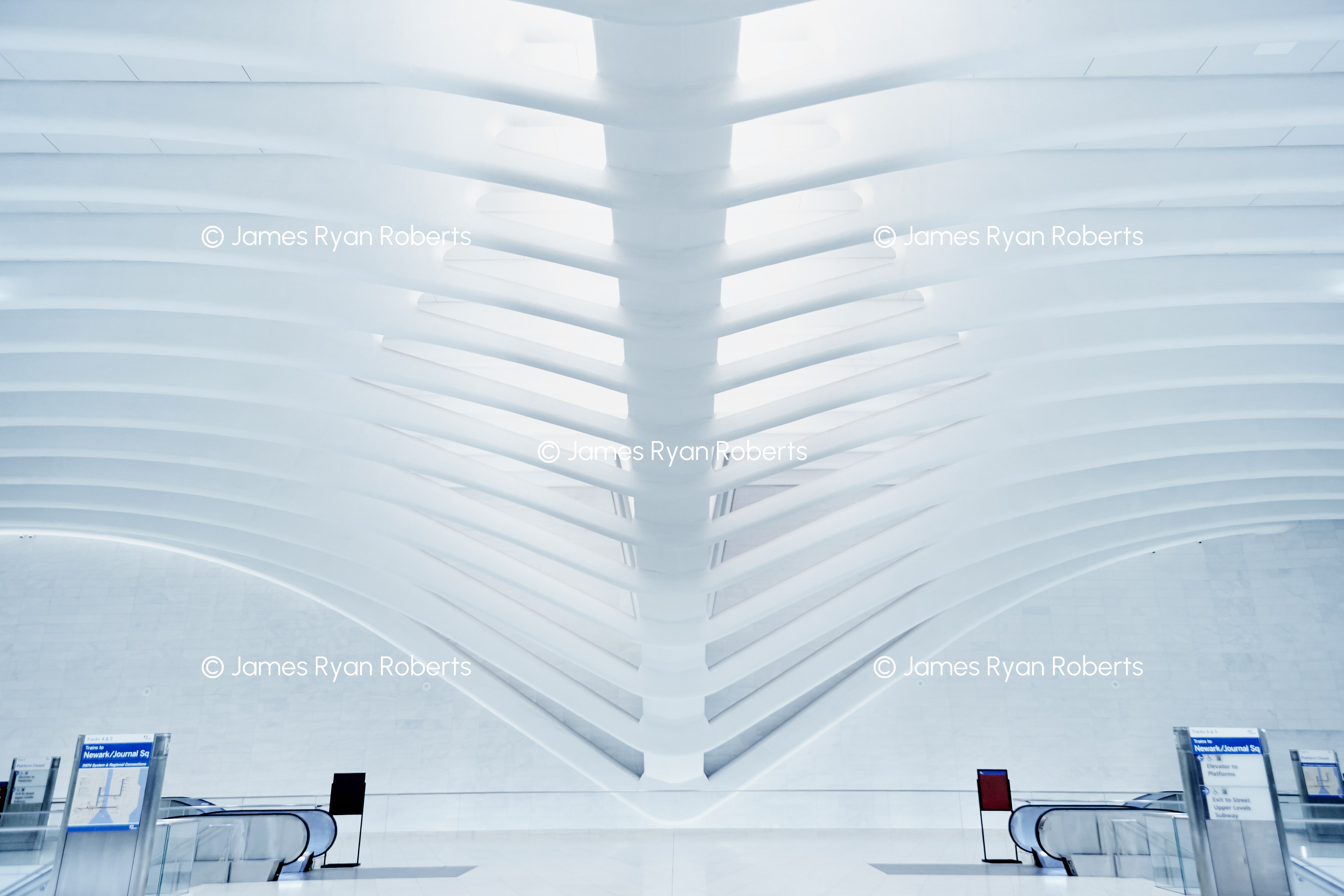 Oculus Ribs I — New York City large-format fine art print