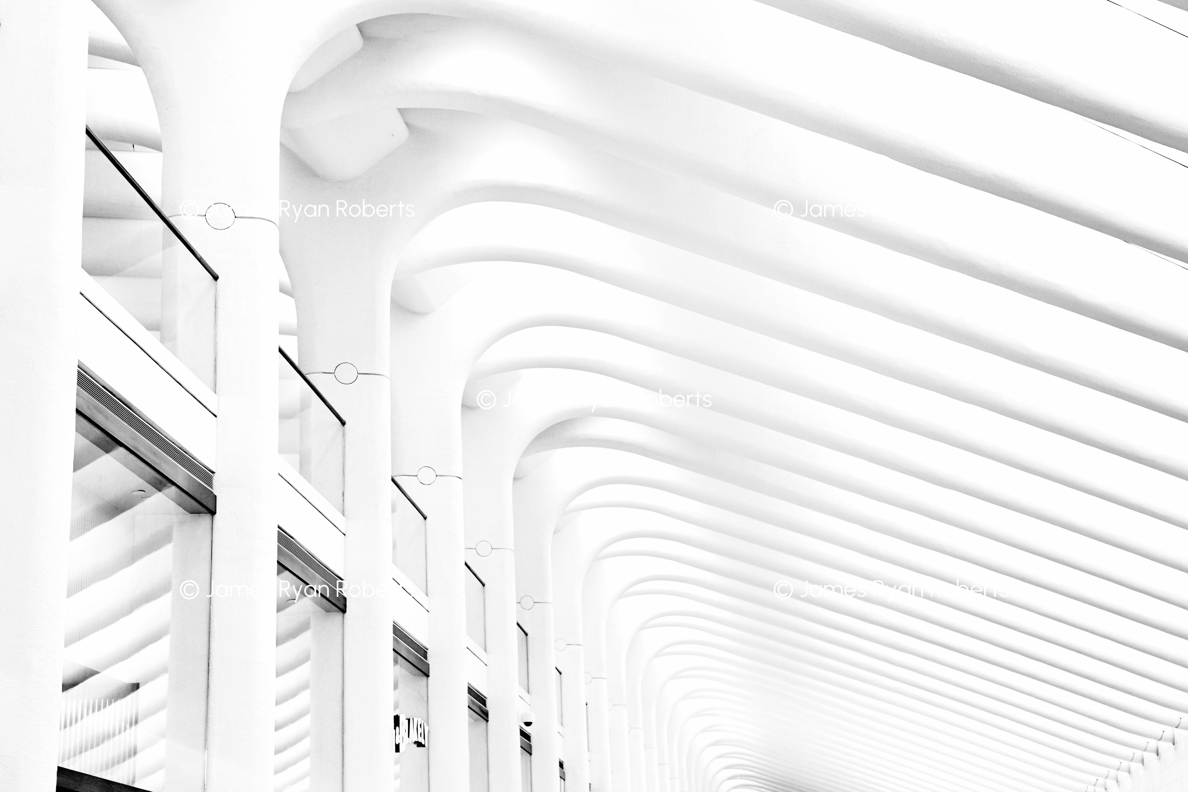 Oculus Ribs II — New York City large-format fine art print