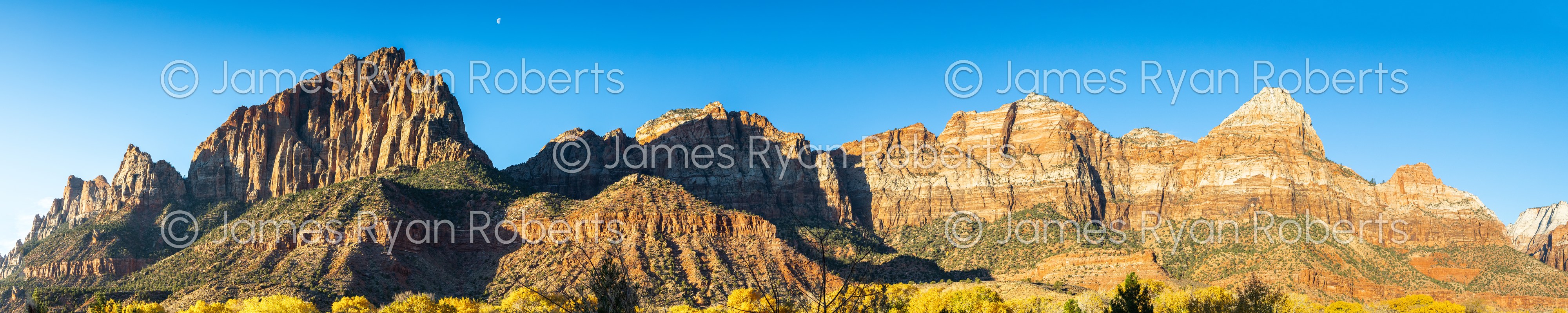 Zion National Park #2 — PanoAmerica large-format fine art print