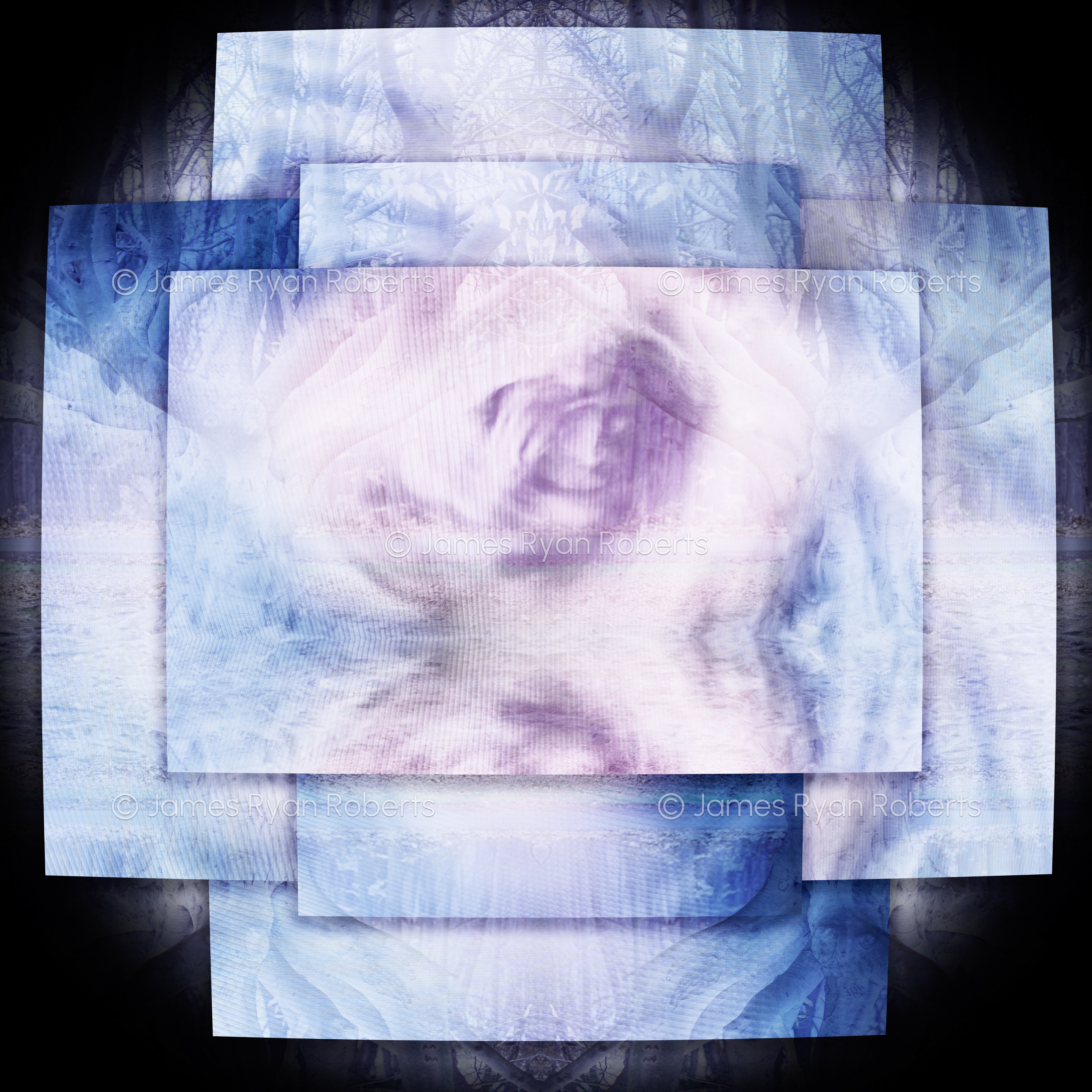 Alone Amongst the Tress — Planes of Perception large-format fine art print