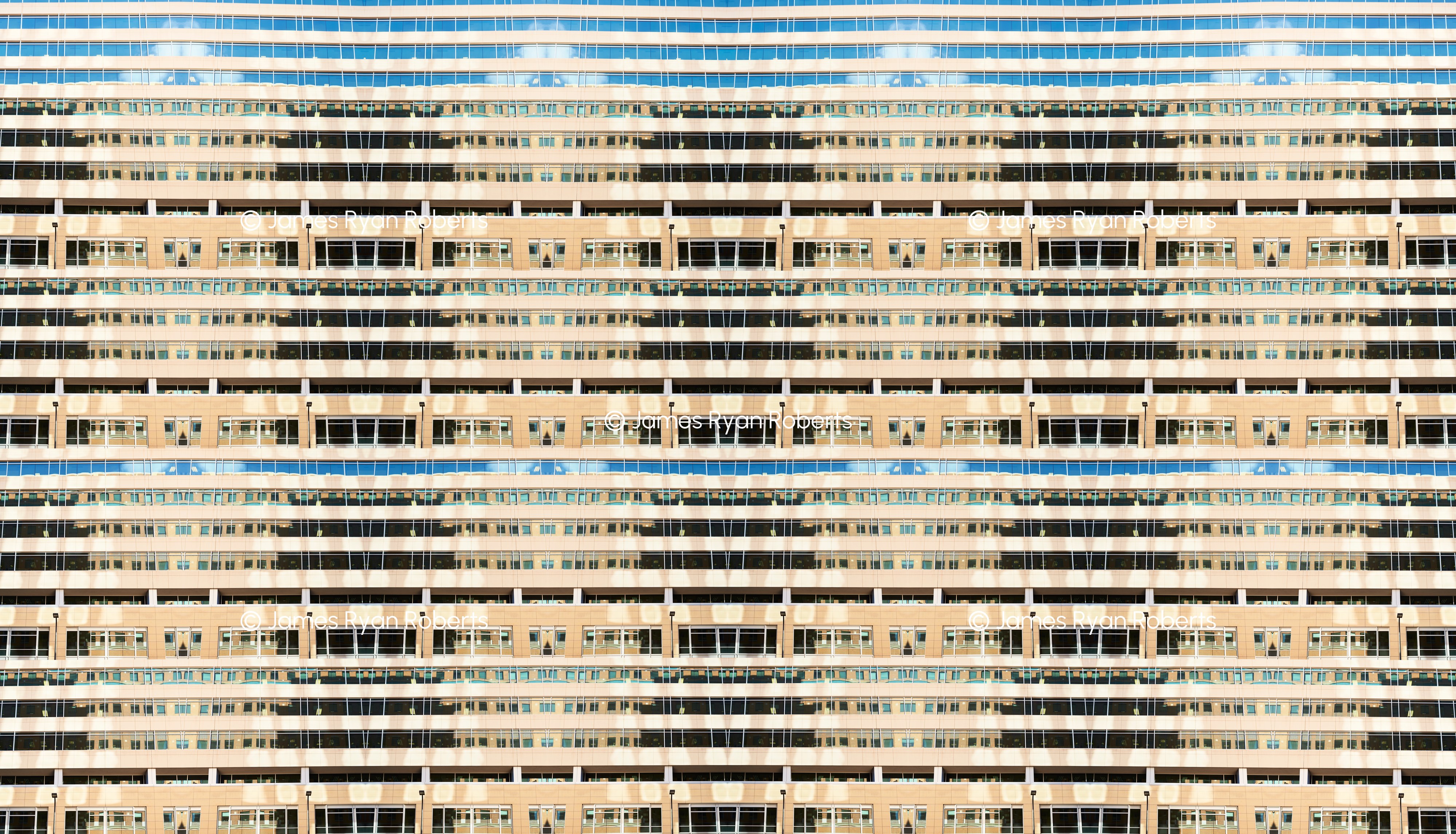 Radisson Blu Minneapolis No. 23 — High Rise Rows