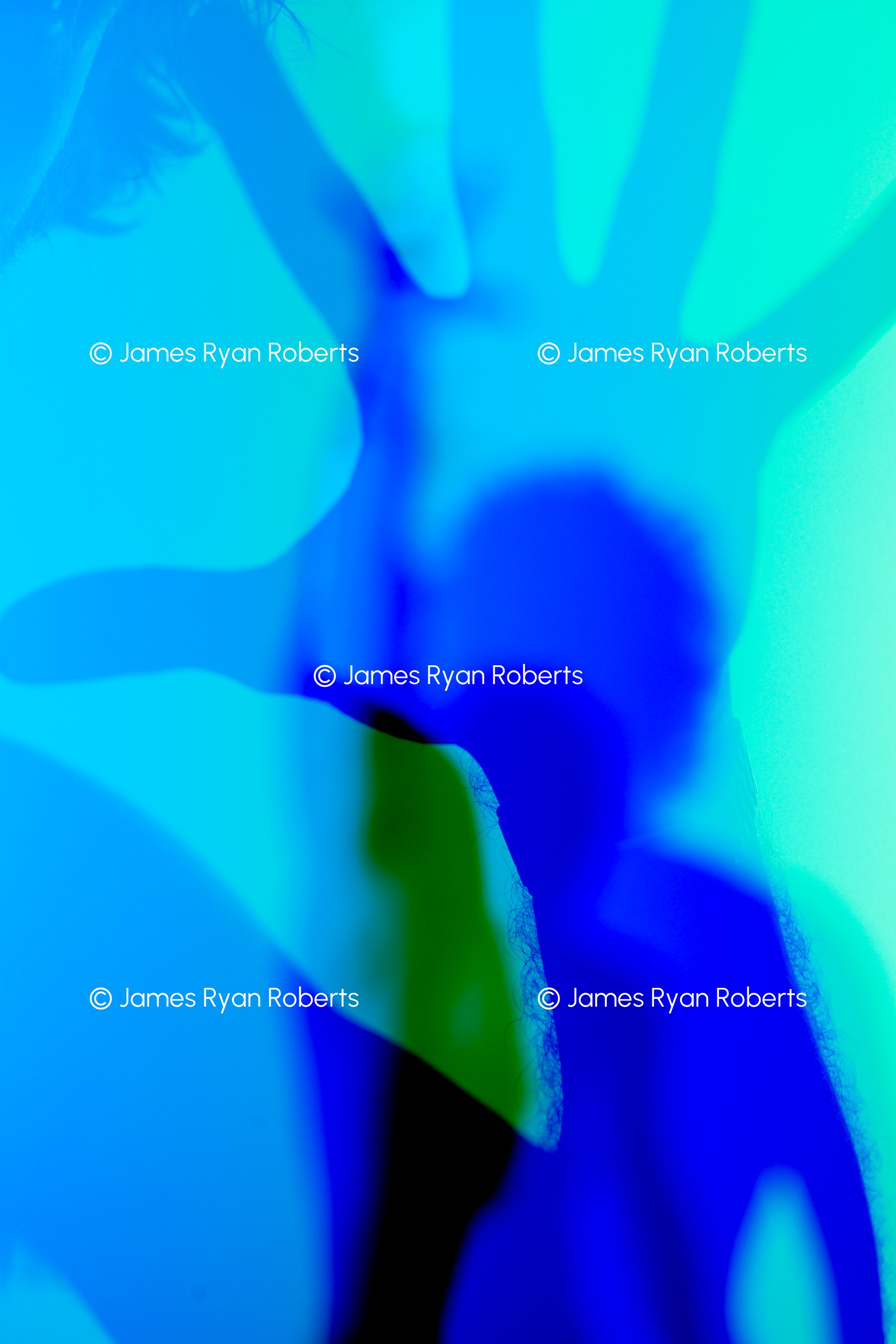 Blue Period — Shadows large-format fine art print