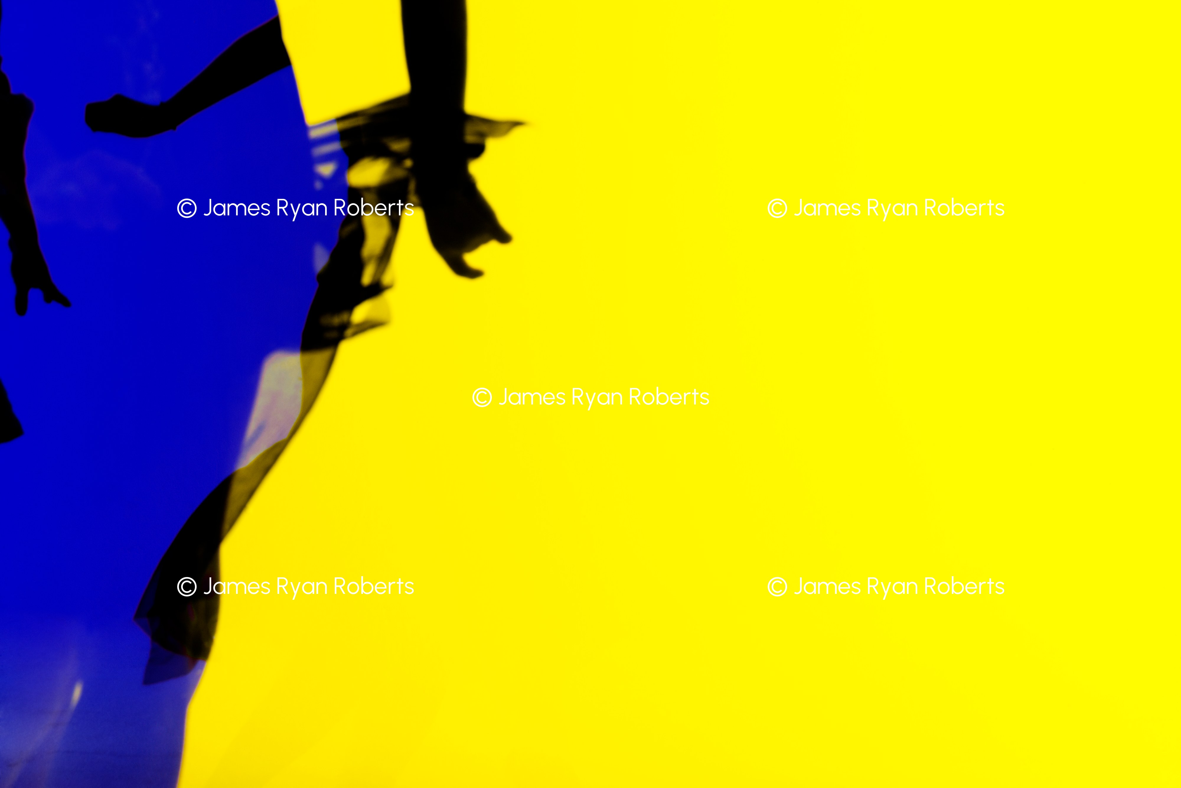 Mellow Yellow — Shadows large-format fine art print