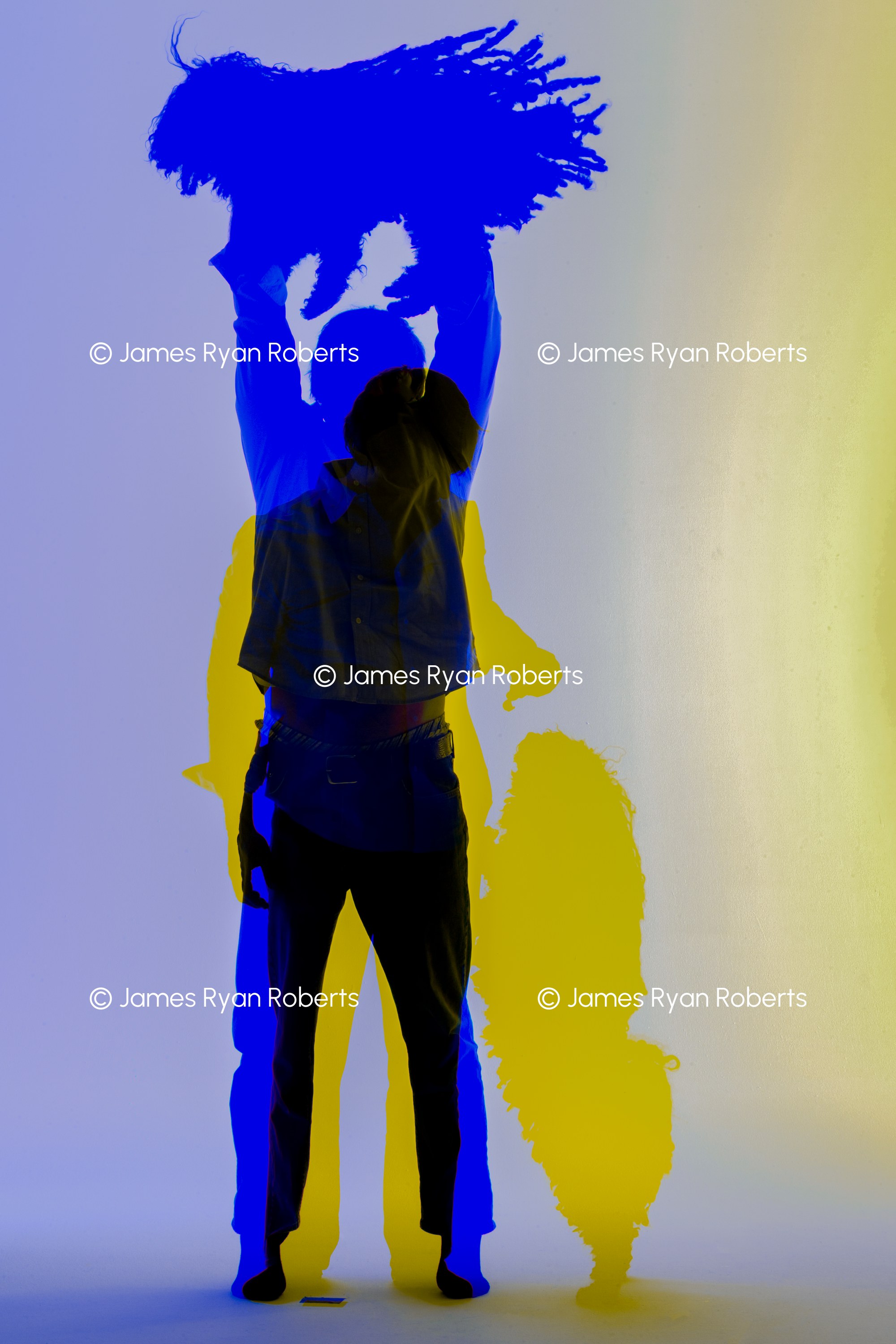 Ollie Makes an Appearance — Shadows large-format fine art print