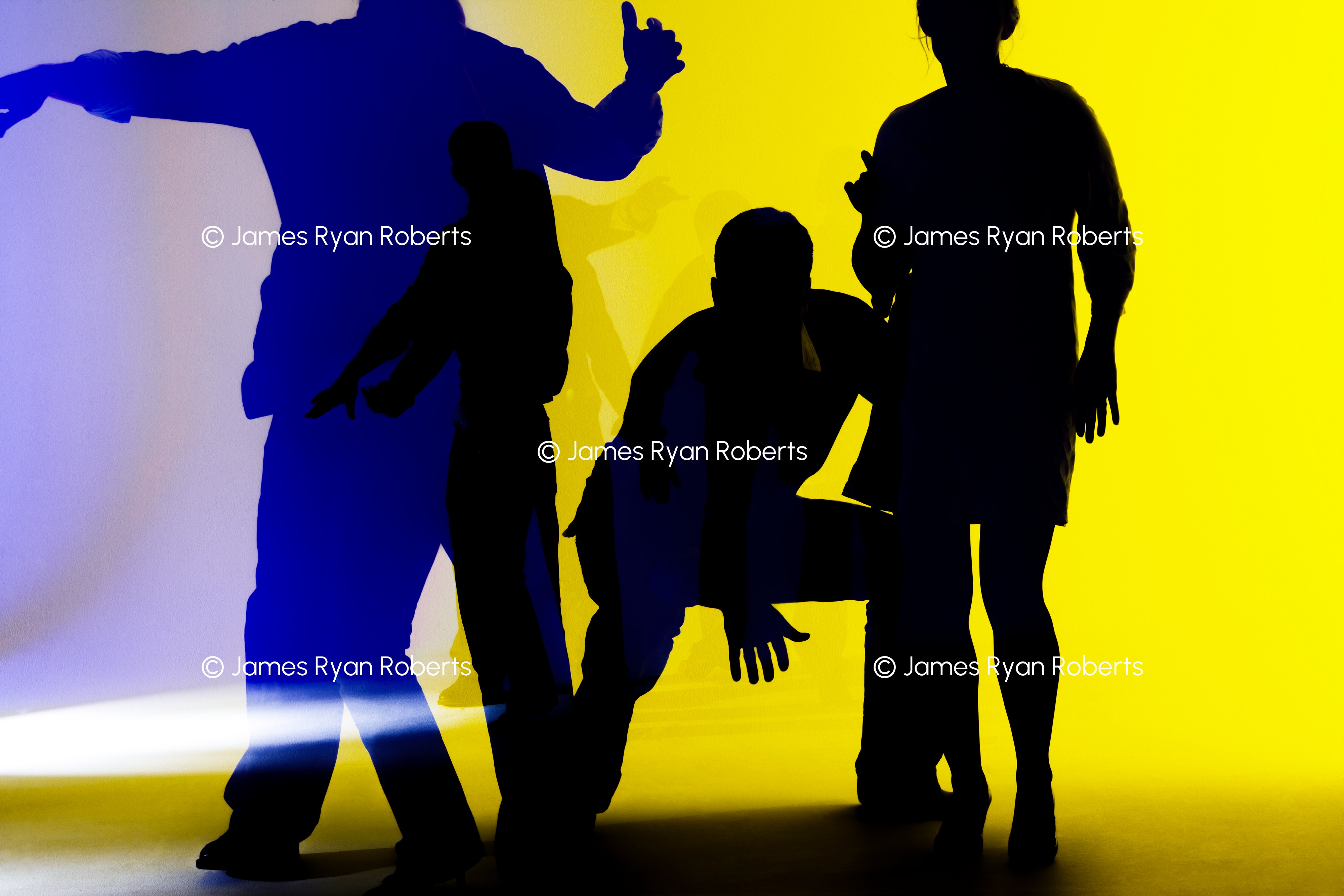 The Usual Suspects — Shadows large-format fine art print