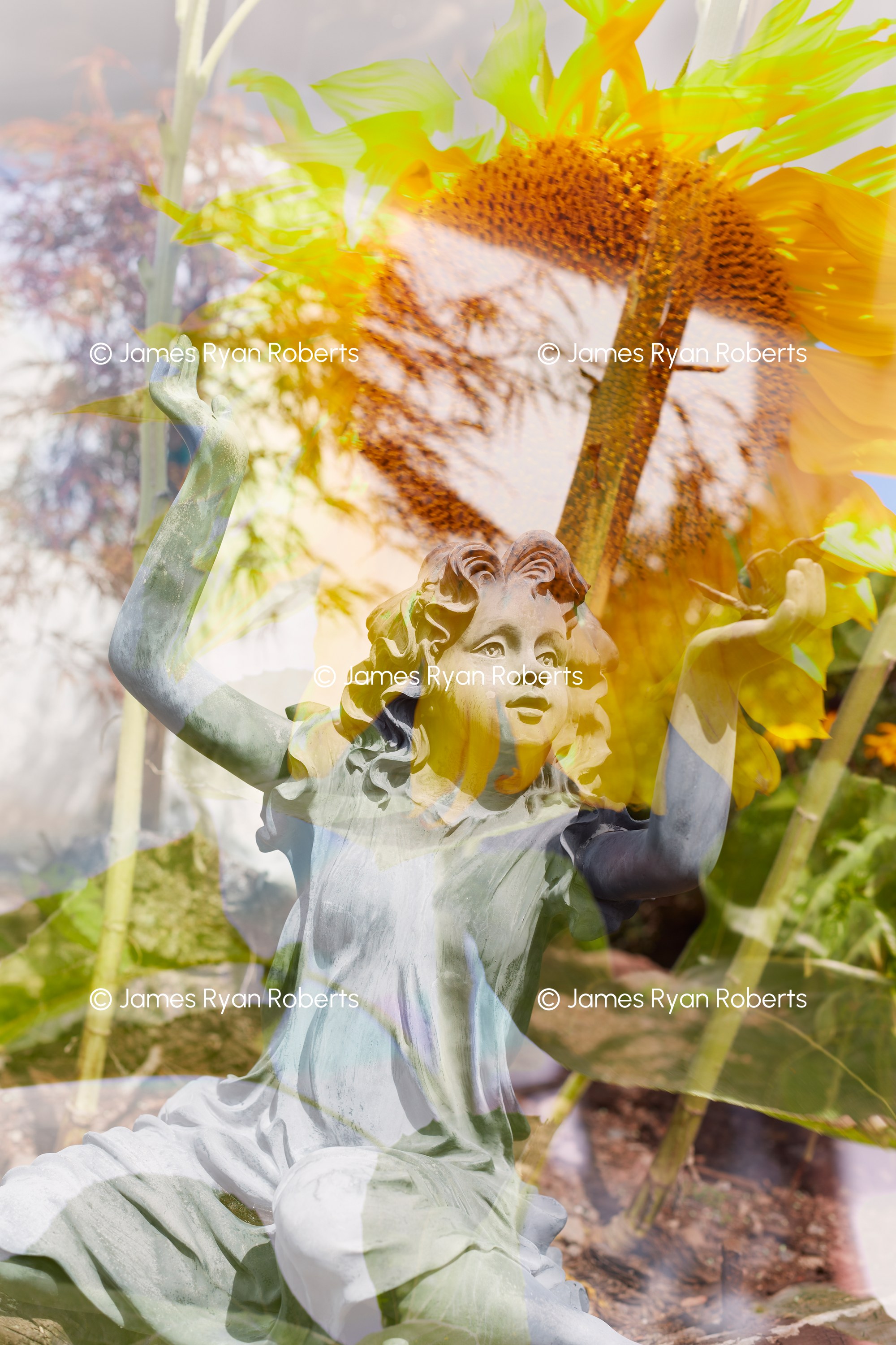 Visions of Spring — Triple Take large-format fine art print
