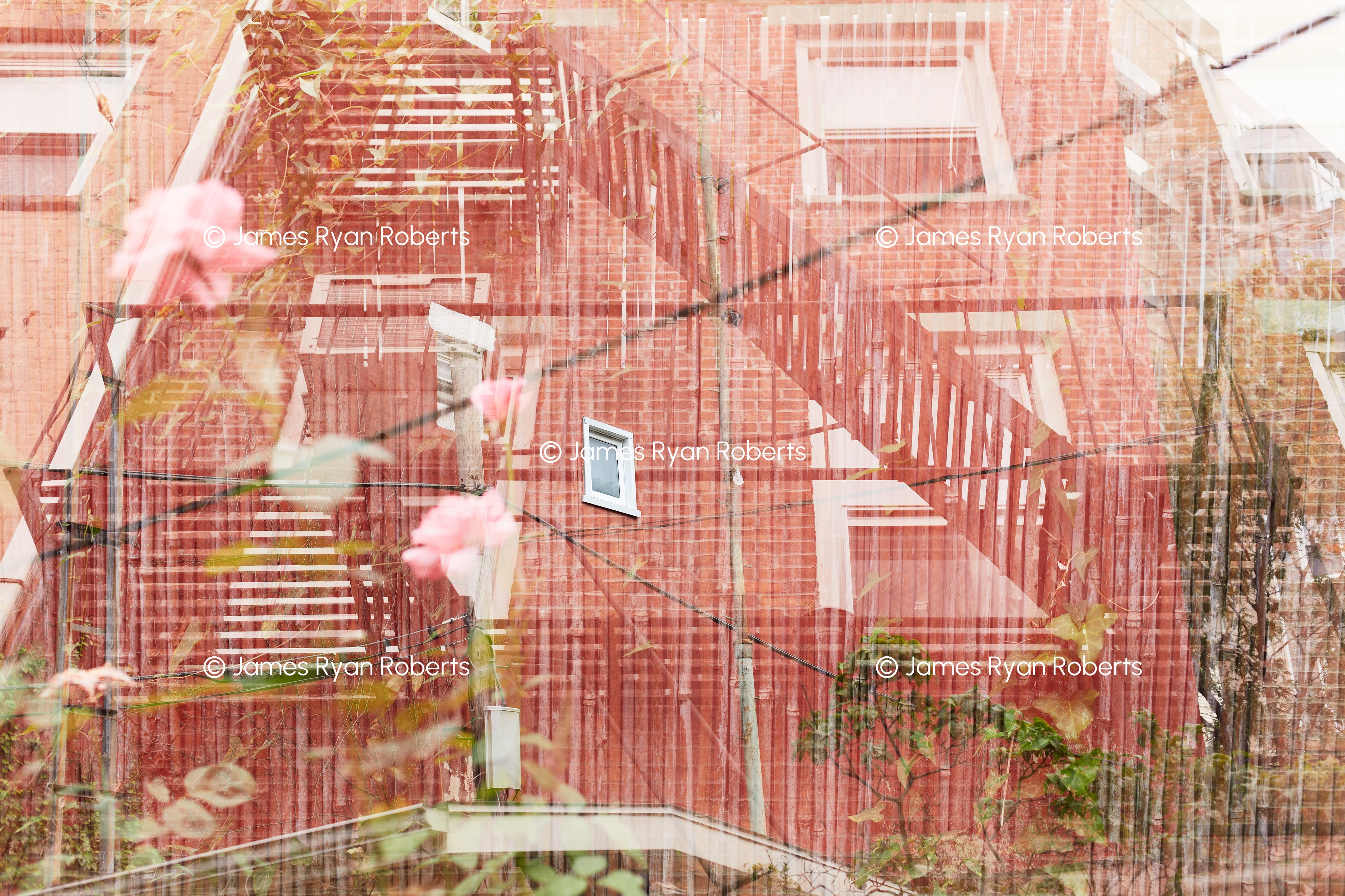 Billy-burg Window — Triple Take large-format fine art print