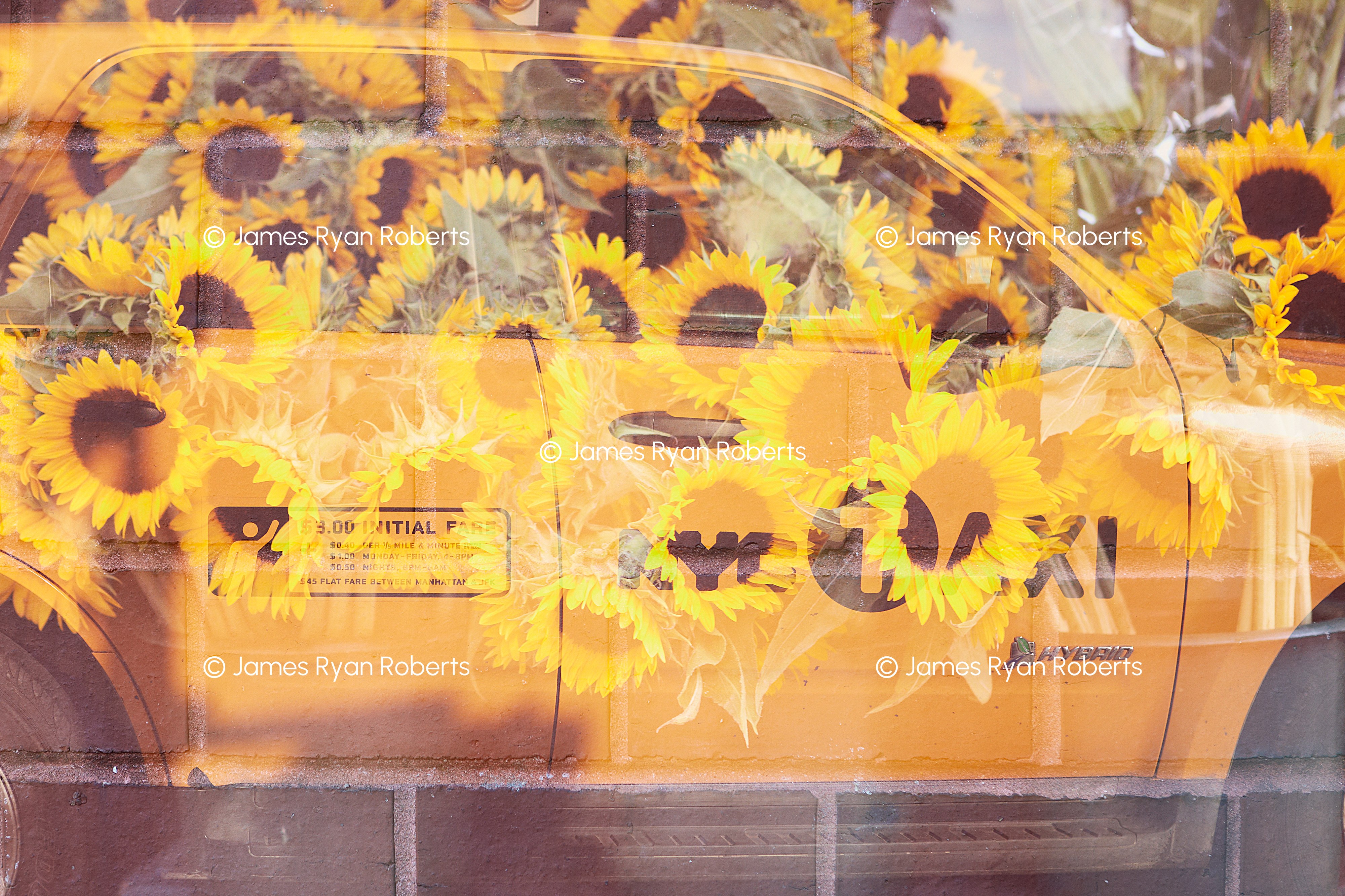 Yellow Cab — Triple Take large-format fine art print